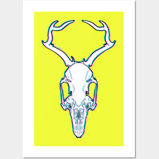 Jackalope Posters and Art